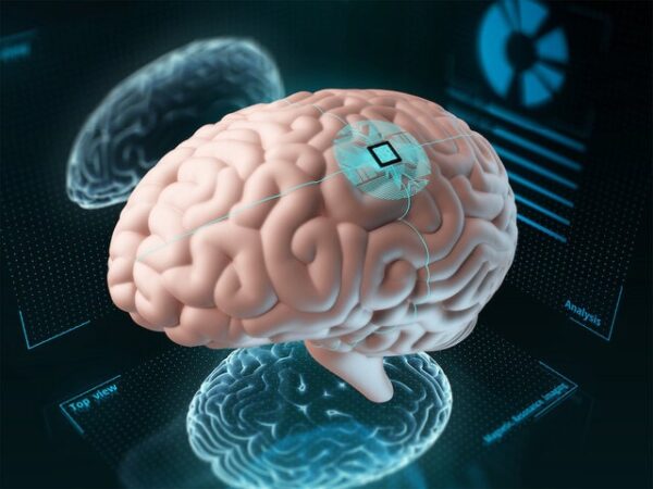 Increase the Human Brain Function